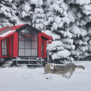 Farri Outdoor – ROOFA 13m² | 8-10 Kişilik